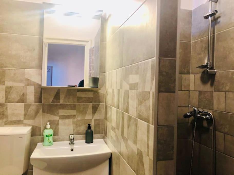Joy City Stay Colonel Enescu 3 Timisoara Ngoại thất bức ảnh